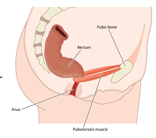 Rehabilitation for Male Pelvic Floor Muscles Continence